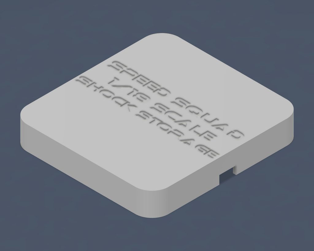 1RC Compatible Shock Storage STL File