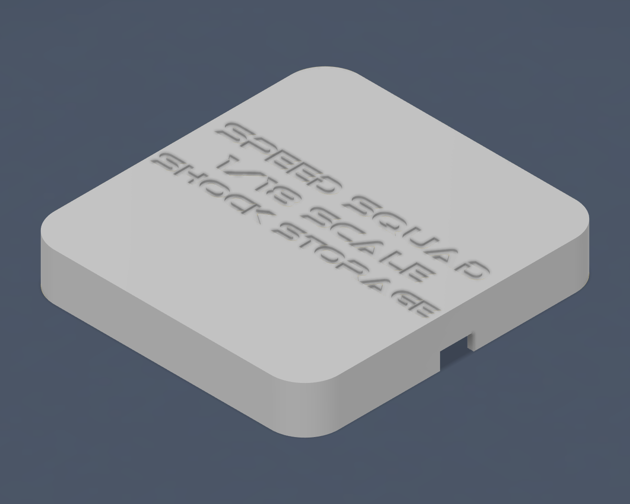 1RC Compatible Shock Storage STL File